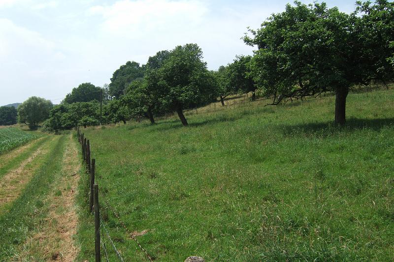 3-2-11 Streuobstwiesen.JPG - Streuobstwiesen am Alterhof kurz vor Maklich